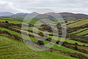 An Idyllic Green Irish Meadow