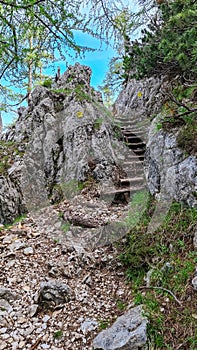 Petzen - Idyllic hiking trail ascending along rock formation via man made wooden stairs. On the way to mountain top photo