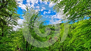 Rein - Idyllic hiking trail through lush green forest in Grazer Bergland, Prealps East of the Mur, Styria, Austria photo