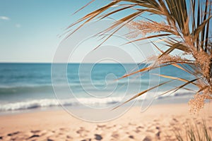 Idyllic image showcasing sunlit palm leaves set against the backdrop of the serene ocean. Perfect for tropical, beach, a