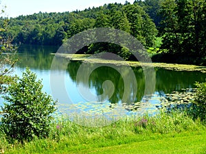 Idyllic lake with reeds and forest on the shore and with lily pads in southern Germany