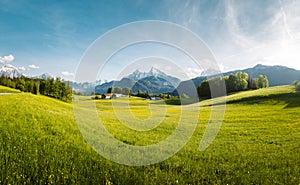 Idyllic landscape in the Alps with blooming meadows in springtime