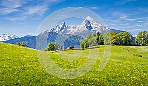 Idyllic landscape in the Alps with fresh green meadows