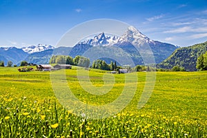 Idyllic landscape in the Alps with fresh green meadows