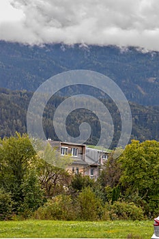 Idyllic landscape in the Alps with fresh green meadows and blooming flowers.