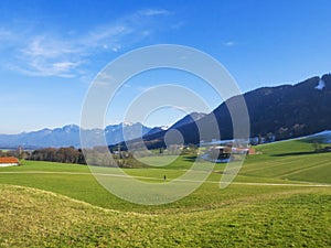 Idyllic landscape in the Alps with fresh green meadows and blooming flowers