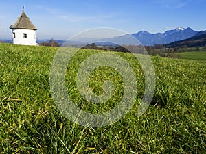 Idyllic landscape in the Alps with fresh green meadows and blooming flowers