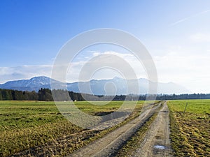 Idyllic landscape in the Alps with fresh green meadows and blooming flowers