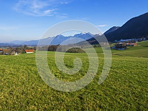 Idyllic landscape in the Alps with fresh green meadows and blooming flowers