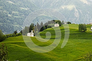 Idyllic landscape in the Alps with fresh green meadows and blooming flowers and d mountain tops in the background