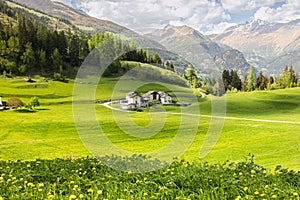 Idyllic landscape in the Alps with fresh green meadows and blooming flowers and d mountain tops in the background