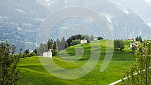 Idyllic landscape in the Alps with fresh green meadows and blooming flowers and d mountain tops in the background