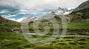 Idyllic landscape in the Alps with fresh green meadows and blooming flowers and d mountain tops in the background