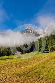 Idyllic landscape in the Alps with fresh green meadows and blooming flowers and snowcapped mountain tops in the background,