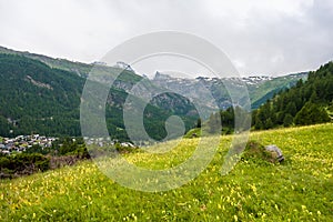 Idyllic landscape in the Alps with fresh green meadows, mountain tops in the background, Zermatt, Switzerland