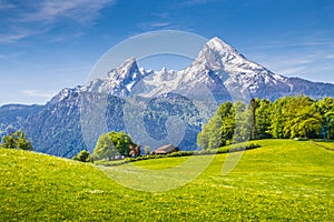 Idyllic landscape in the Alps with fresh green meadows in spring