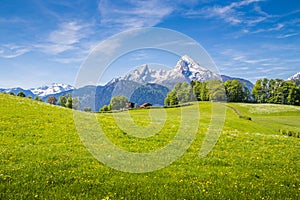 Idyllic landscape in the Alps with fresh green meadows in summer