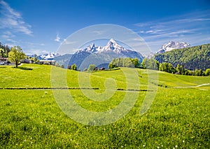 Idyllic landscape in the Alps with green meadows and farmhouse