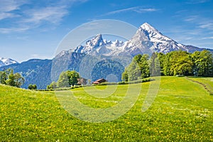 Idyllic landscape in the Alps with green meadows and flowers