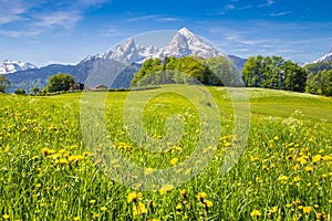 Idyllic landscape in the Alps with green meadows and flowers