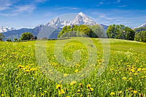 Idyllic landscape in the Alps with green meadows and flowers photo