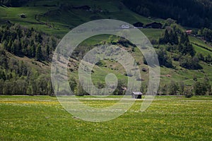 Idyllic landscape in the Alps in springtime with traditional mountain chalet and fresh green mountain pastures with flowers.