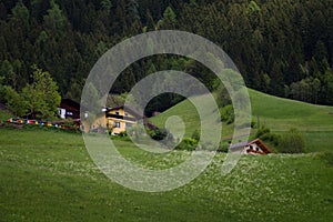 Idyllic landscape in the Alps in springtime with traditional mountain chalet and fresh green mountain pastures with flowers.