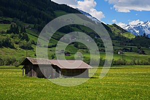 Idyllic landscape in the Alps in springtime with traditional mountain chalet and fresh green mountain pastures with flowers.