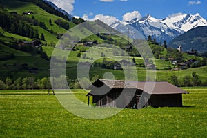 Idyllic landscape in the Alps in springtime with traditional mountain chalet and fresh green mountain pastures with flowers.