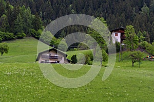 Idyllic landscape in the Alps in springtime with traditional mountain chalet and fresh green mountain pastures with flowers