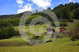 Idyllic landscape in the Alps in springtime with traditional mountain chalet and fresh green mountain pastures with flowers