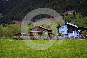 Idyllic landscape in the Alps in springtime with traditional mountain chalet and fresh green mountain pastures with flowers