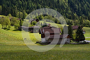 Idyllic landscape in the Alps in springtime with traditional mountain chalet and fresh green mountain pastures with flowers