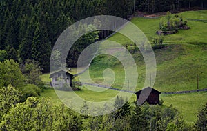 Idyllic landscape in the Alps in springtime with traditional mountain chalet and fresh green mountain pastures with flowers