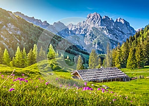 Idyllic landscape in the Alps with traditional mountain chalet at sunset