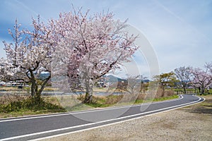 Idyllic landscape of Arashiyama, Kyoto, Japan