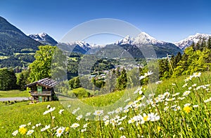 Idílico en bávaros Alpes, alemania 