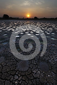 Idyllic landscape of dried fish pond in Hong Kong photo