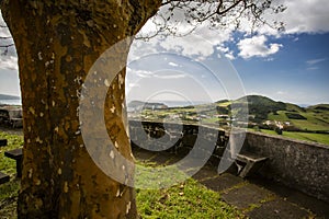 Idyllic landscape of Faial island, Azores