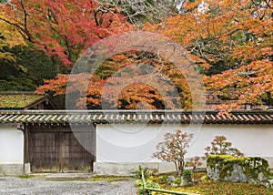 Idyllic landscape of Kyoto, Japan in autumn season