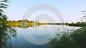 Idyllic landscape. Lake with blue water and green reeds on the sides