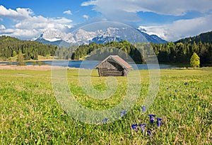 Idyllic landscape lake geroldsee and karwendel mountains, blue gentian flowers