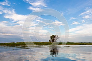 An idyllic landscape of lake shore with tree and bulrush, beautiful deep sky and reflection