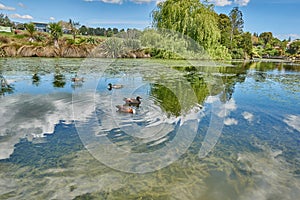 Idyllic landscape of a lake with the sky and trees reflected