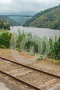 Idyllic landscape of old train line beside the Douro river