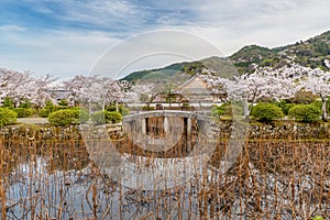 Idyllic landscape of pond in Arashiyama, Kyoto, Japan