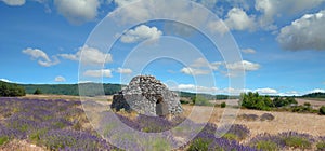 Idyllic Landscape in Provence,France
