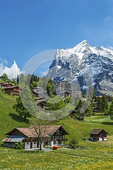 Idyllic landscape of Swiss