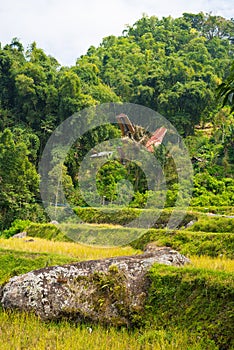 Idyllic landscape in Tana Toraja