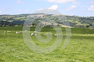 Idyllic landscape in Wales, Great Britain